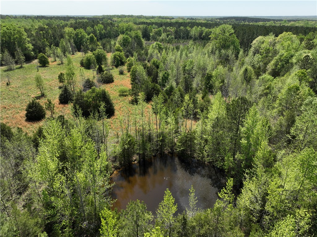 13352 Highway 76 Gray Court, SC 29645 - Photo 15 of 40