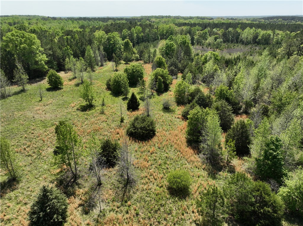 13352 Highway 76 Gray Court, SC 29645 - Photo 17 of 40