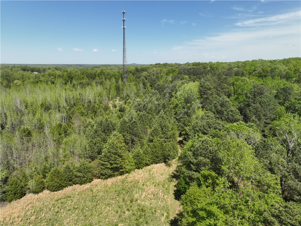 13352 Highway 76 Gray Court, SC 29645 - Photo 19 of 40