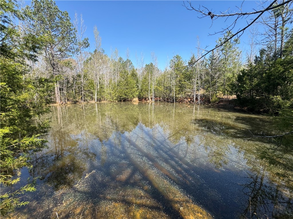 13352 Highway 76 Gray Court, SC 29645 - Photo 2 of 40