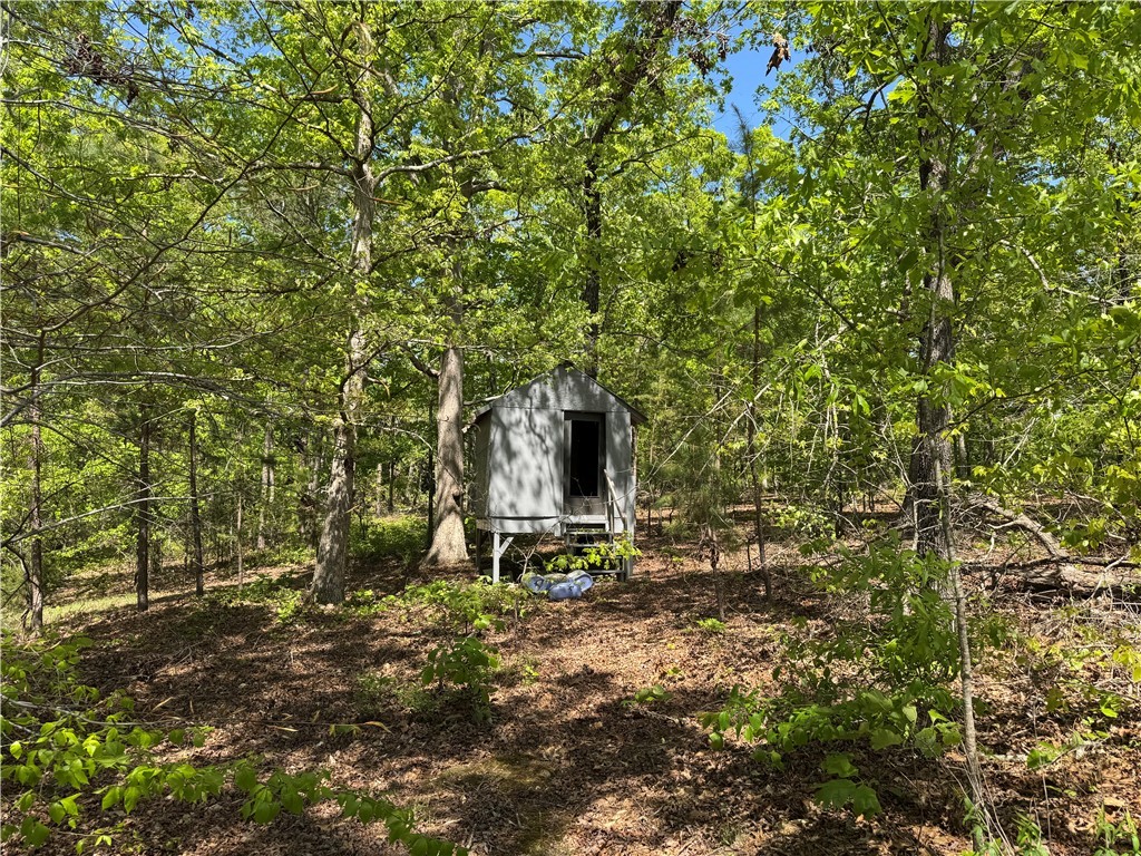 13352 Highway 76 Gray Court, SC 29645 - Photo 39 of 40