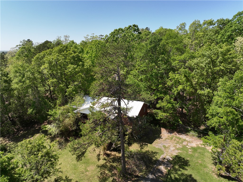 13352 Highway 76 Gray Court, SC 29645 - Photo 4 of 40