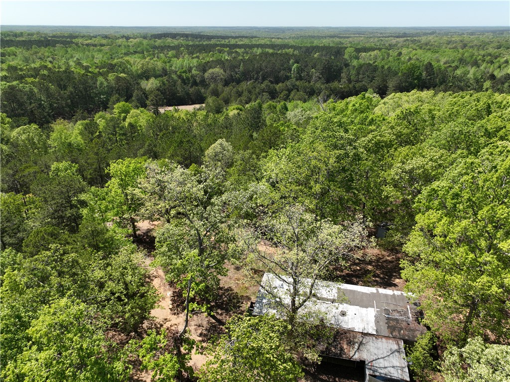 13352 Highway 76 Gray Court, SC 29645 - Photo 10 of 40