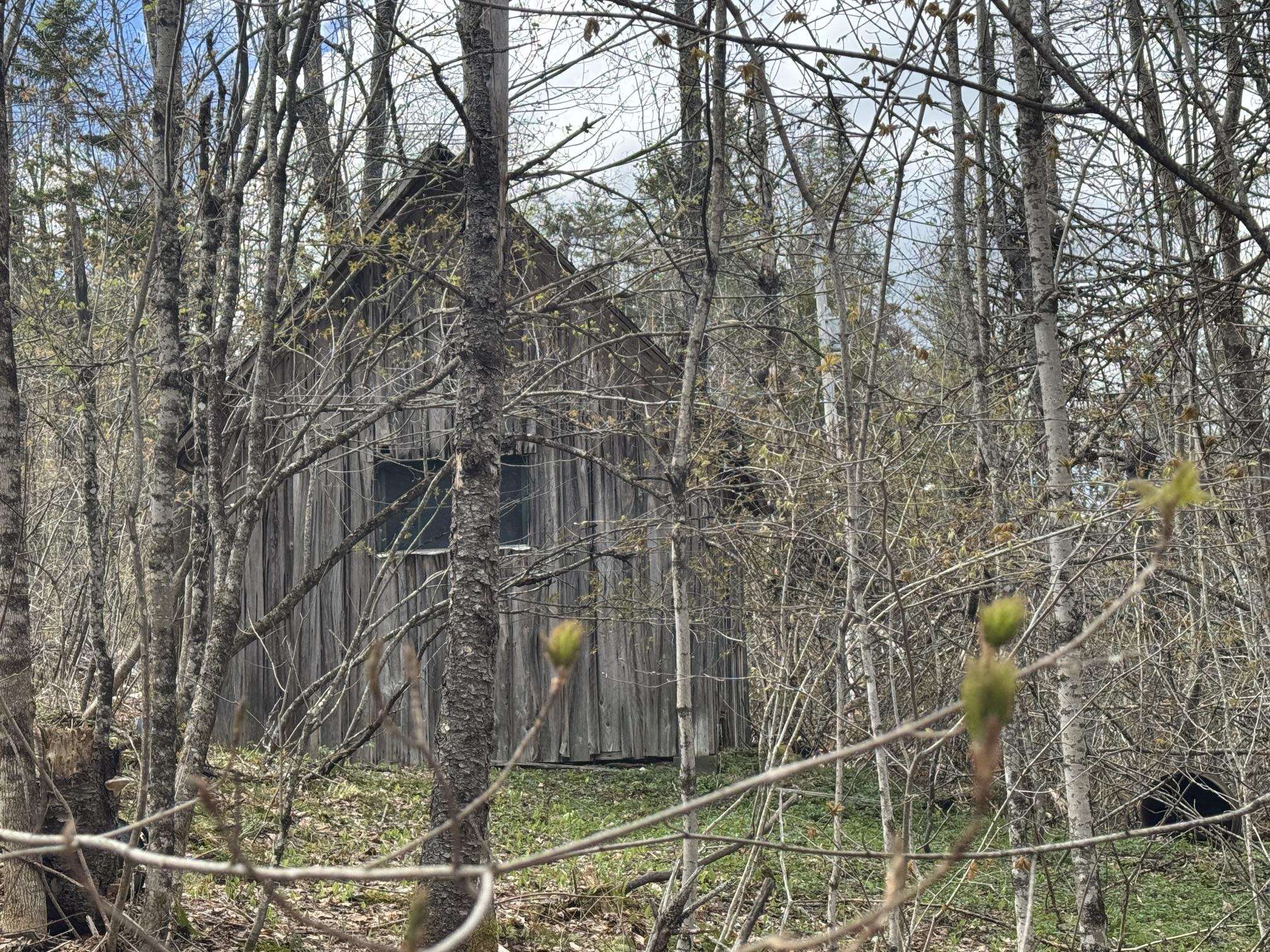 316 Last Road Cabot, VT 05647 - Photo 10 of 26
