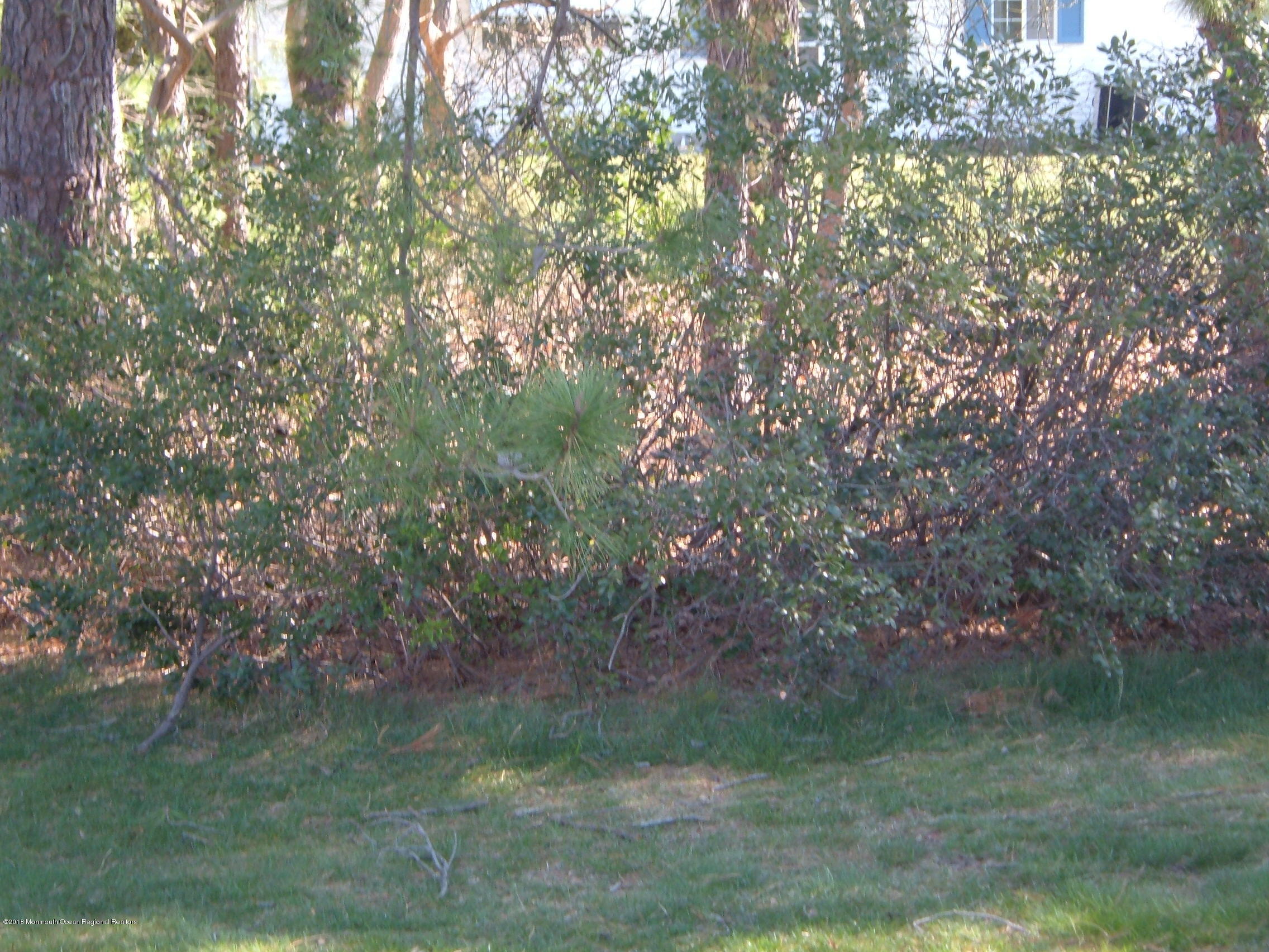 37 Mill Road Whiting, NJ 08759 - Photo 24 of 24 2004_0316Image0003