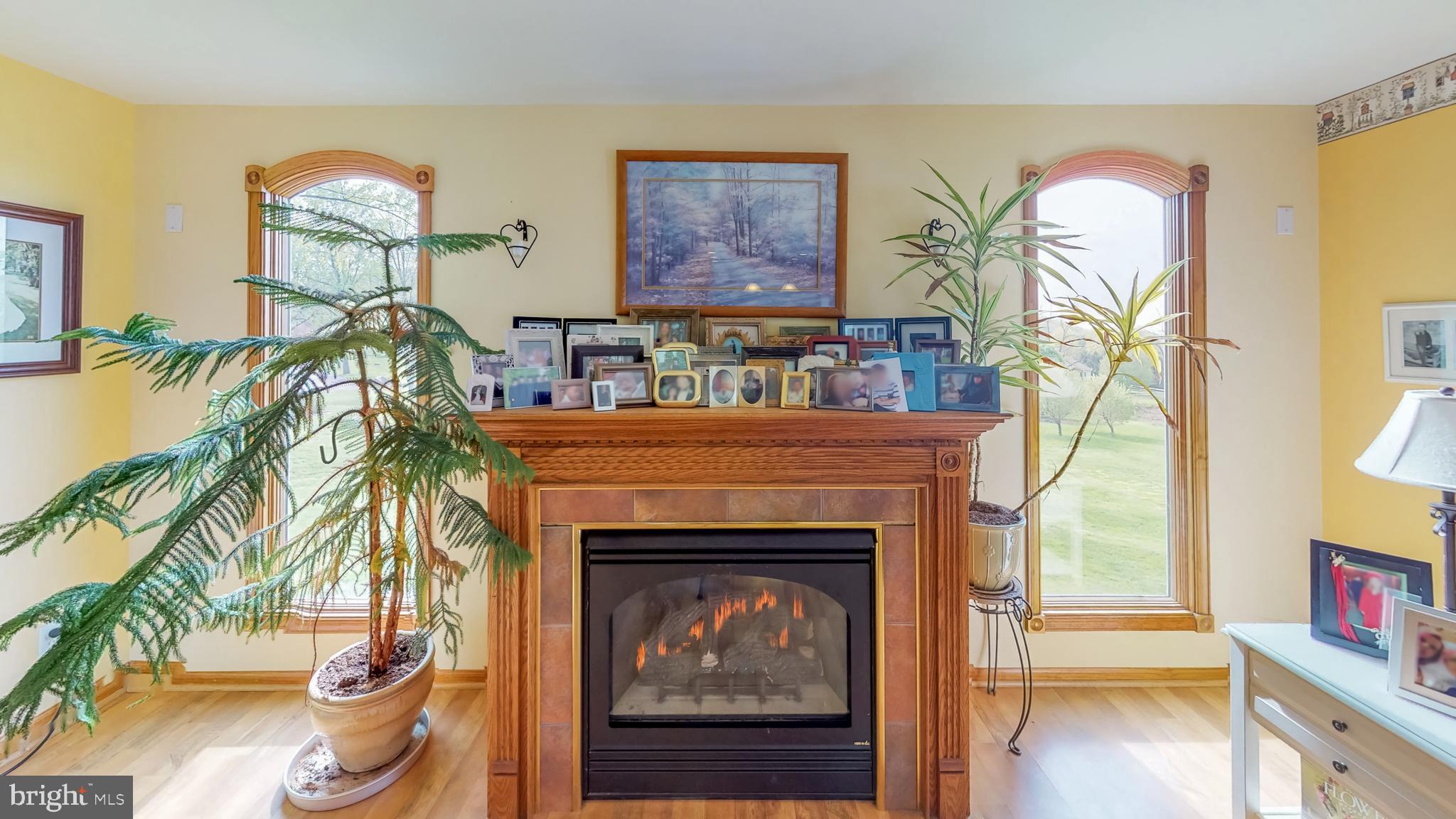 18 Spring Road Boyertown, PA 19512 - Photo 10 of 44 Gas Fireplace