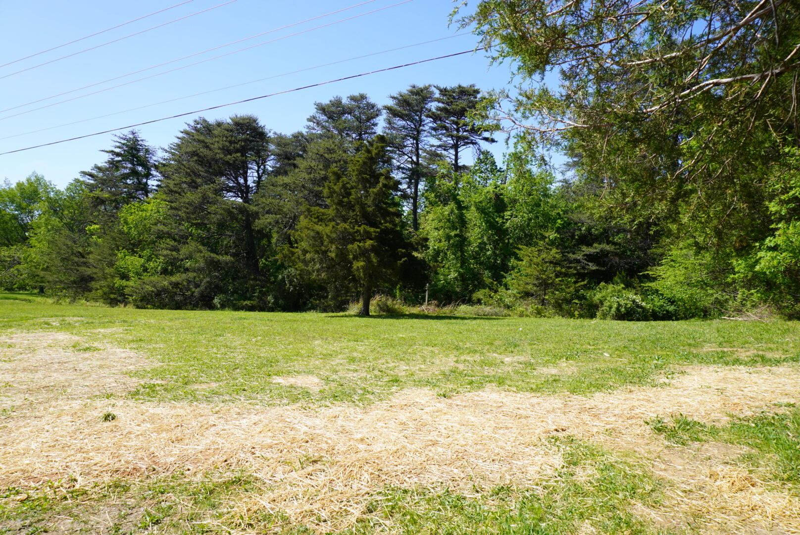 6062 Valley Creek Road Elizabethtown, KY 42701 - Photo 17 of 17 DSC00452