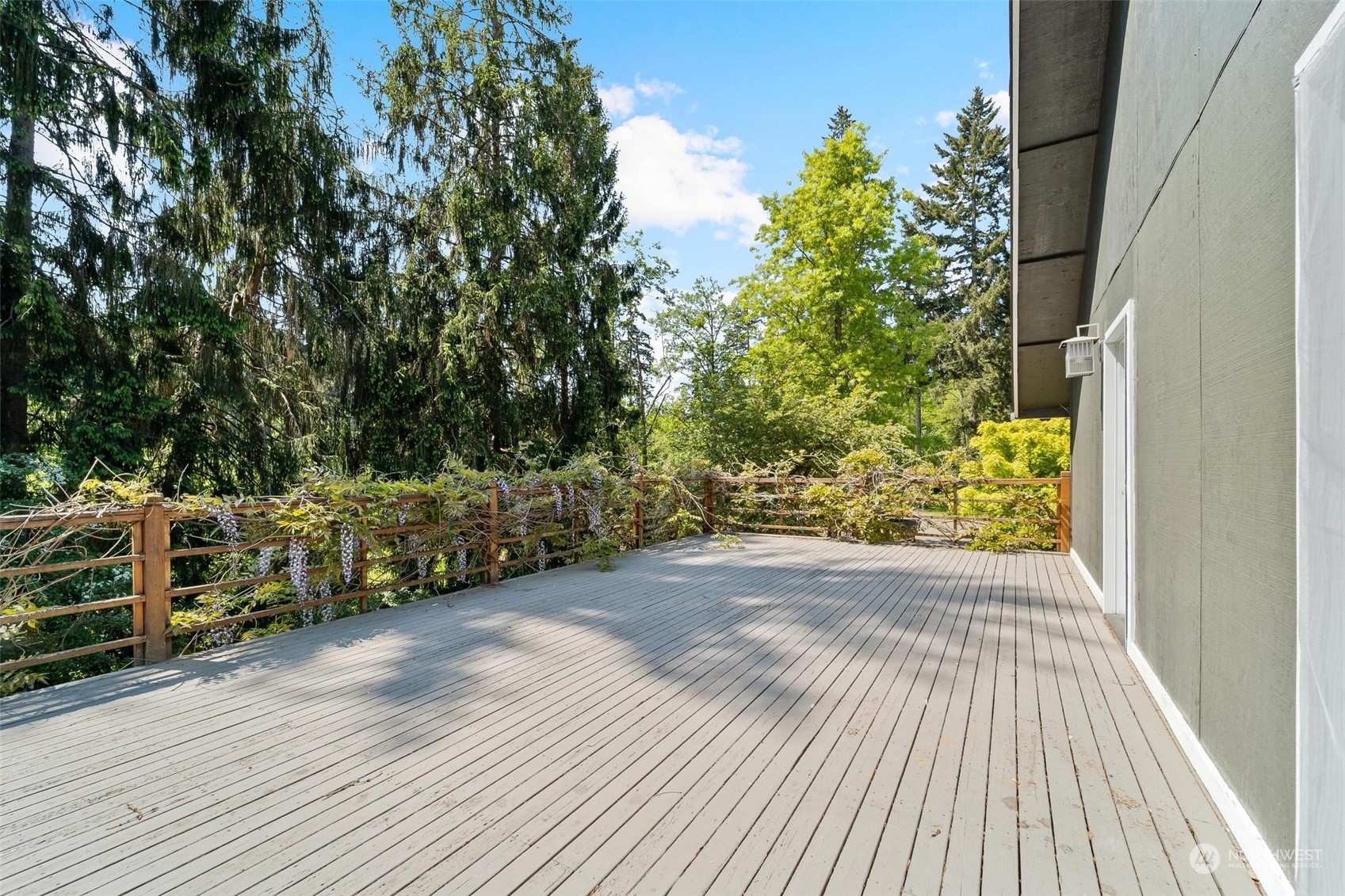 23220 49th Avenue Southeast Bothell, WA 98021 - Photo 24 of 40 a view of a backyard of the house