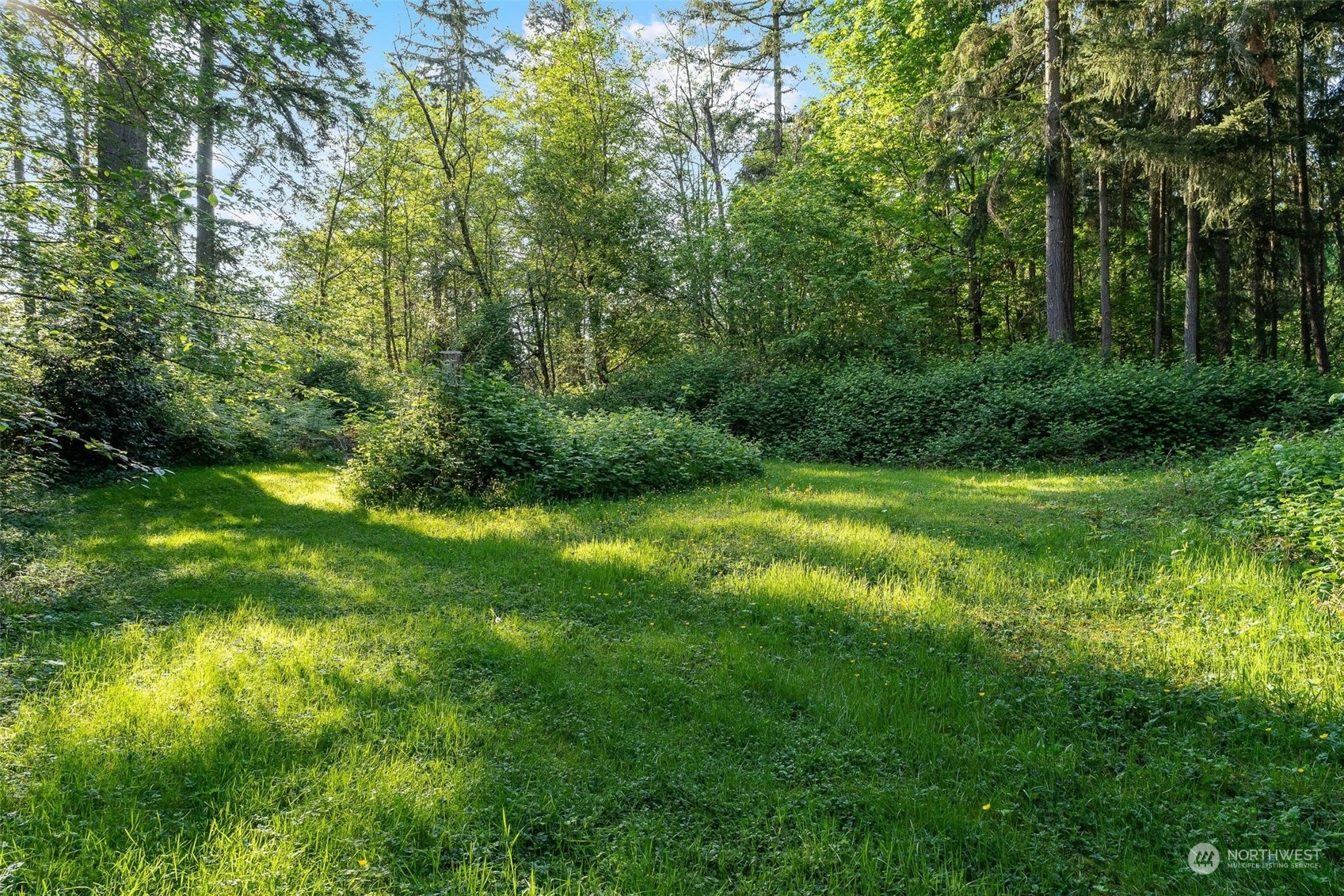 23220 49th Avenue Southeast Bothell, WA 98021 - Photo 40 of 40 a view of yard with green space