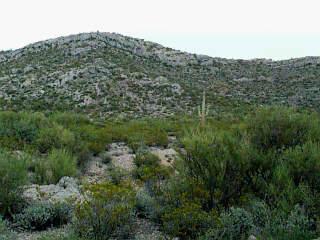 0 East Colossal Cave Road Vail, AZ 85641 - Photo 1 of 1