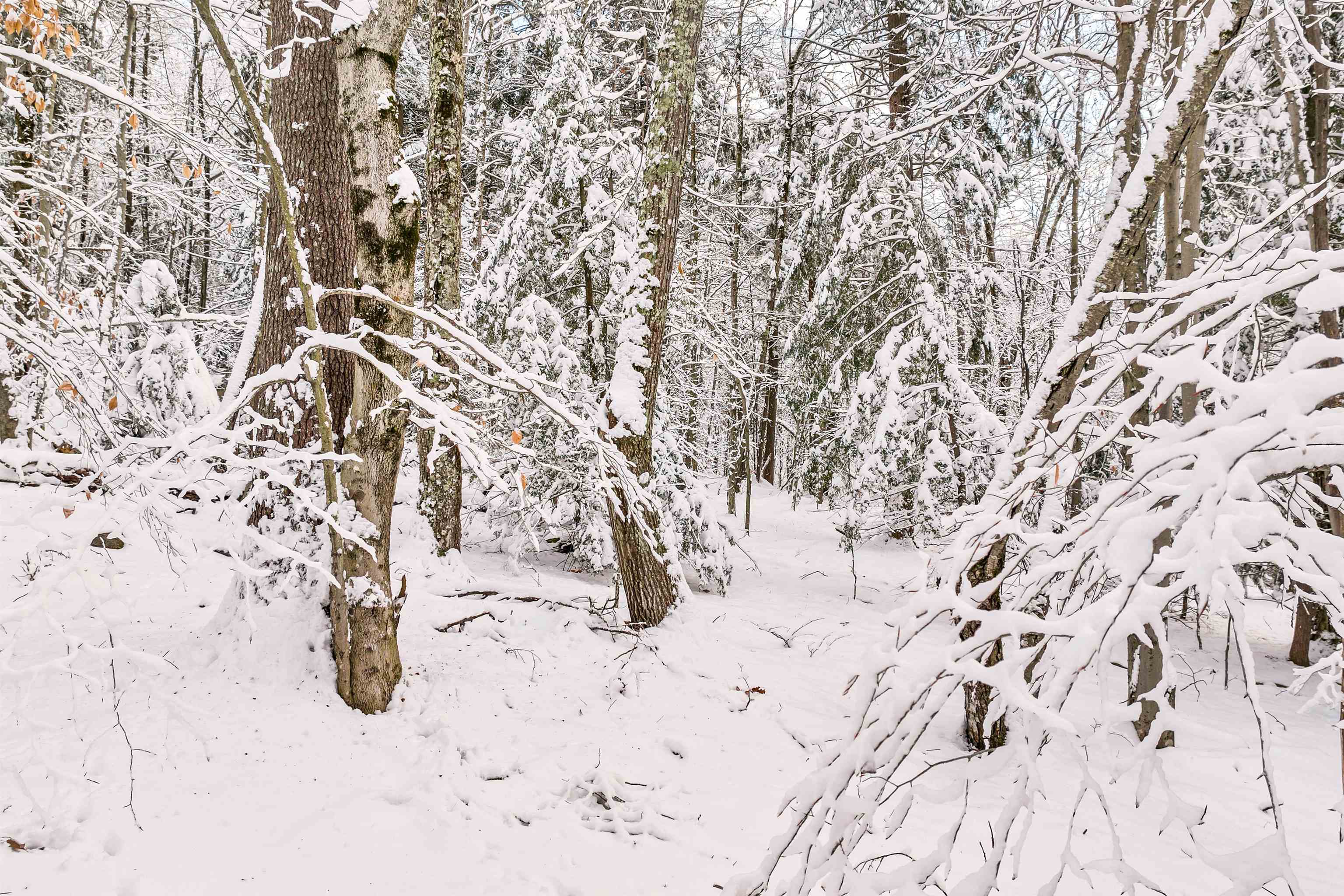 0 Innsbruck Drive New Durham, NH 03855 - Photo 4 of 6