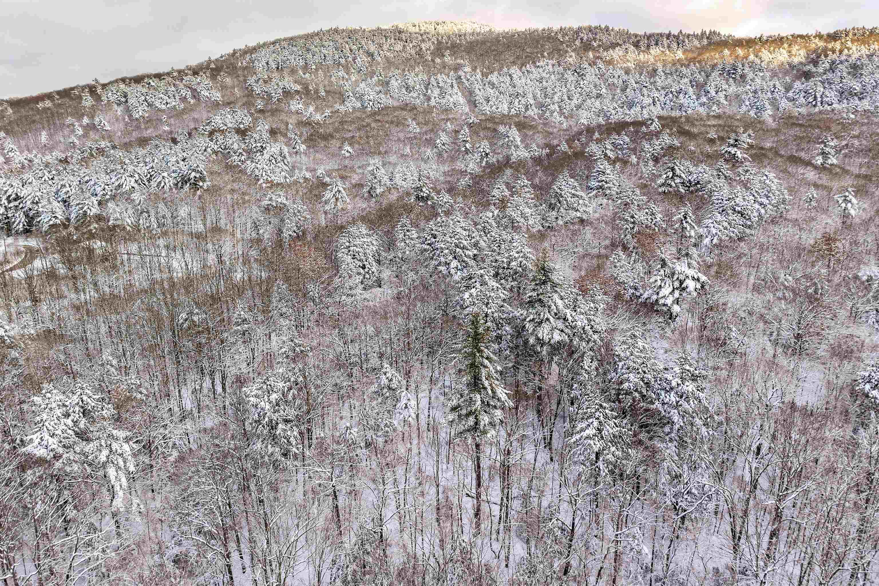 0 Innsbruck Drive New Durham, NH 03855 - Photo 5 of 6