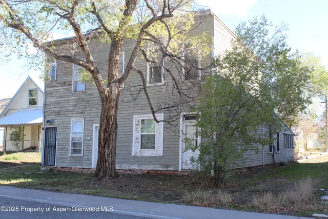 a tree in the house next to a yard