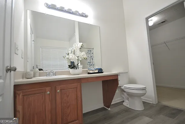a bathroom with a sink and a toilet