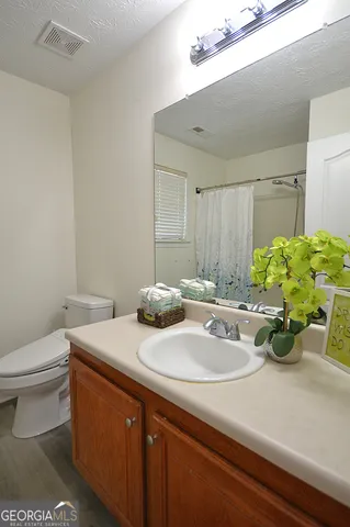 a bathroom with a sink a toilet and potted plant