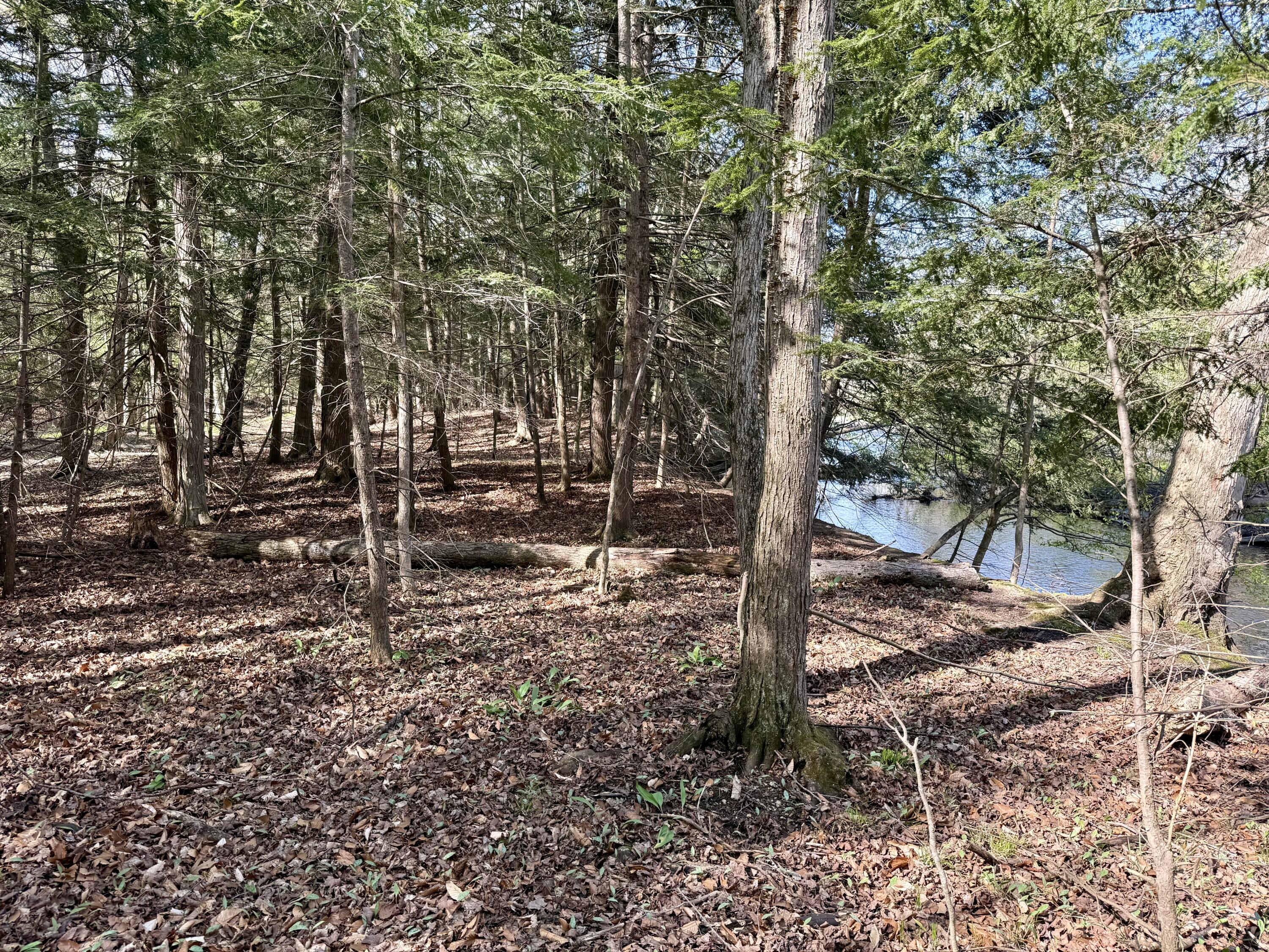8869 East Hawley Road Hesperia, MI 49421 - Photo 54 of 63 IMG_2090