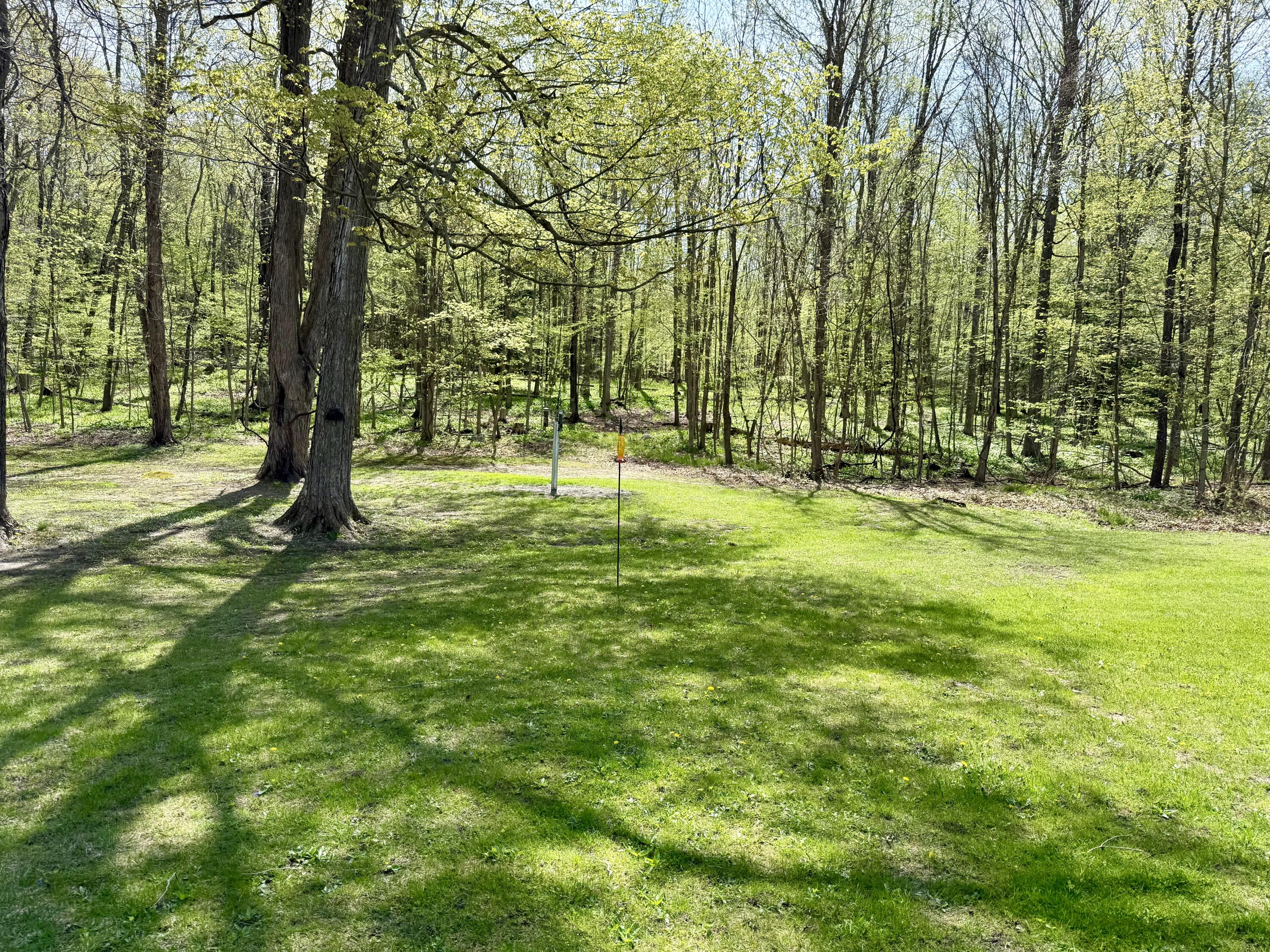 8869 East Hawley Road Hesperia, MI 49421 - Photo 61 of 63 IMG_2117