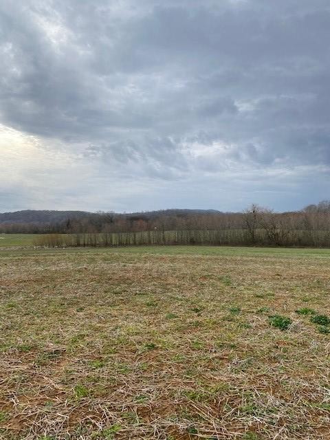 4 Canyon Road Jasper, TN 37347 - Photo 3 of 4 Gallery Image 3