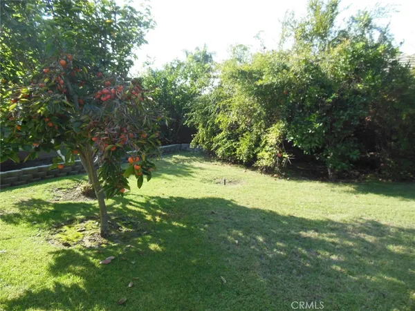 a view of yard with green space