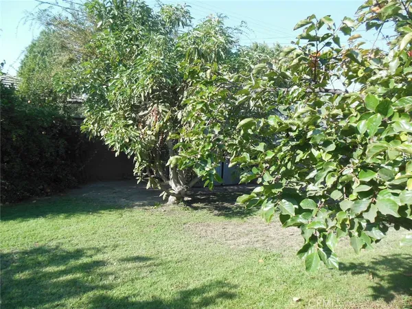 a view of an outdoor space and a yard