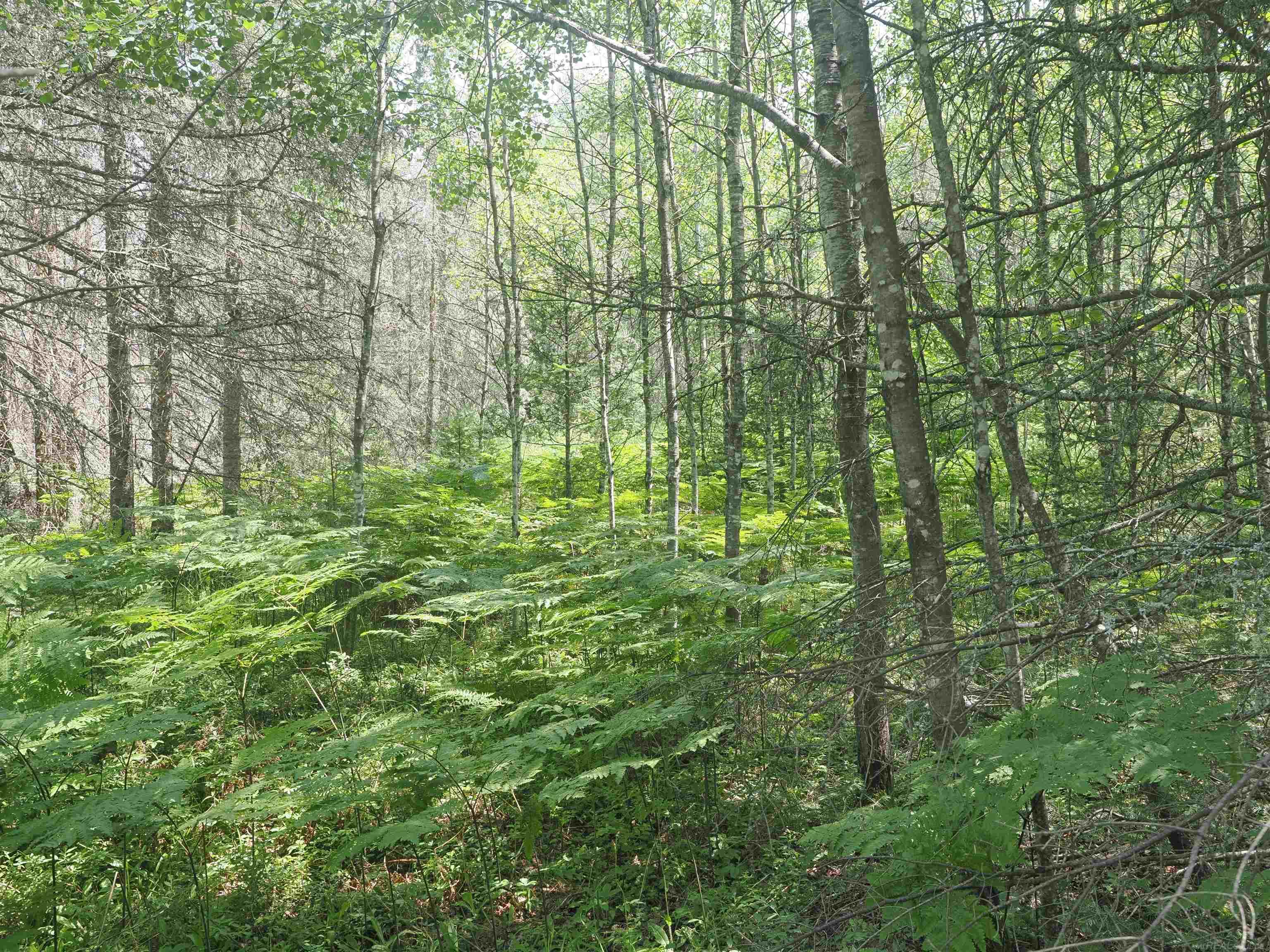 0 County Road Ishpeming, MI 49849 - Photo 38 of 85