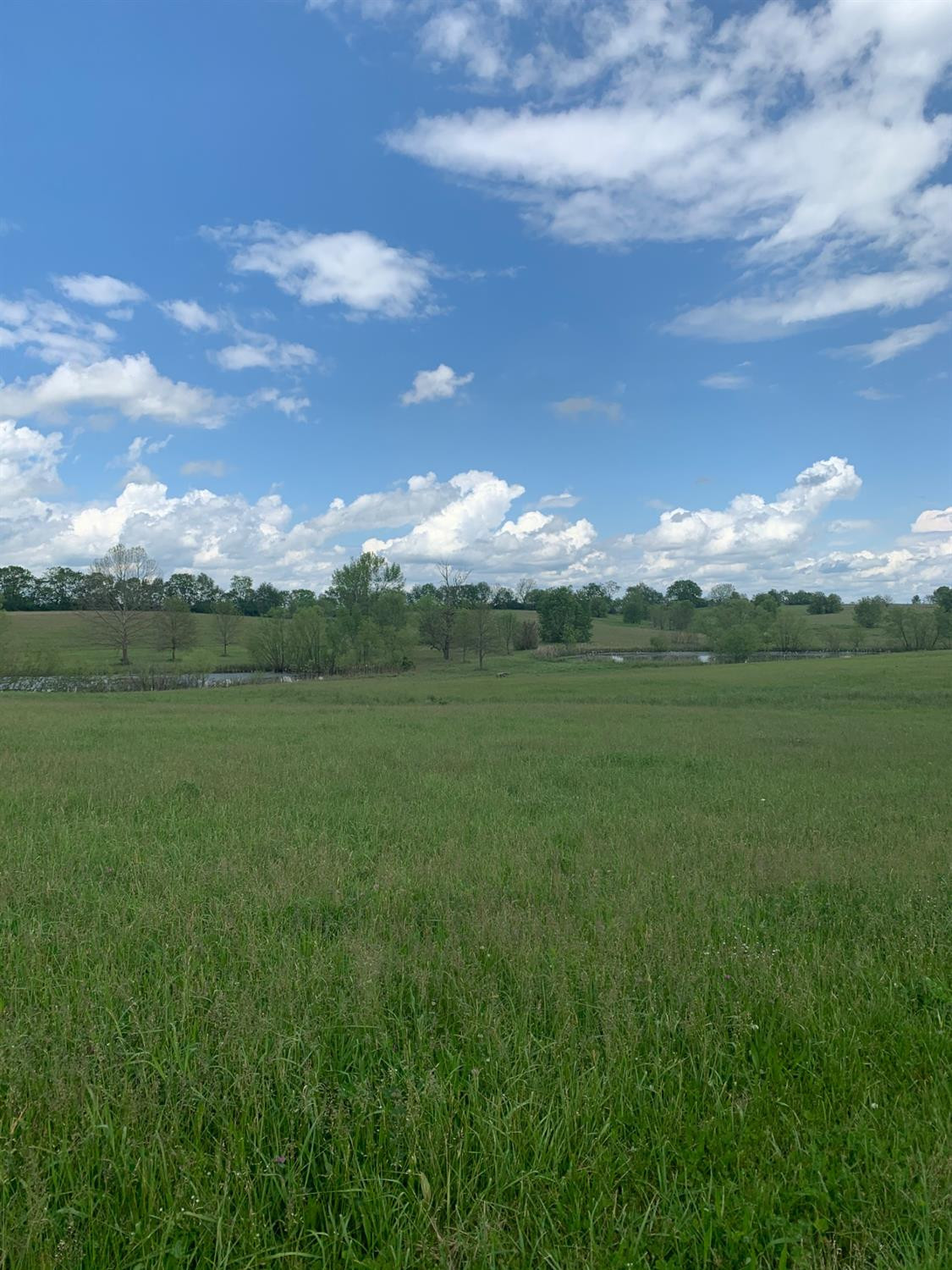 2602 Bethlehem Road Paris, KY 40361 - Photo 14 of 37 Photo 14