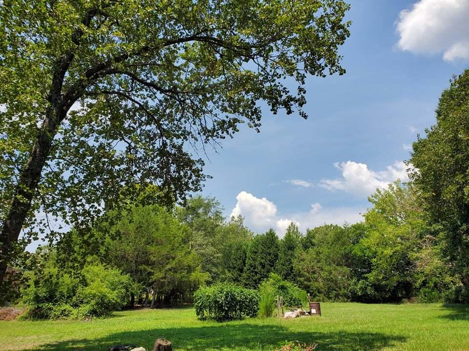 850 Battley Dairy Road Rockingham, NC 28379 - Photo 7 of 12 66703993_403258240397031_209726428333001