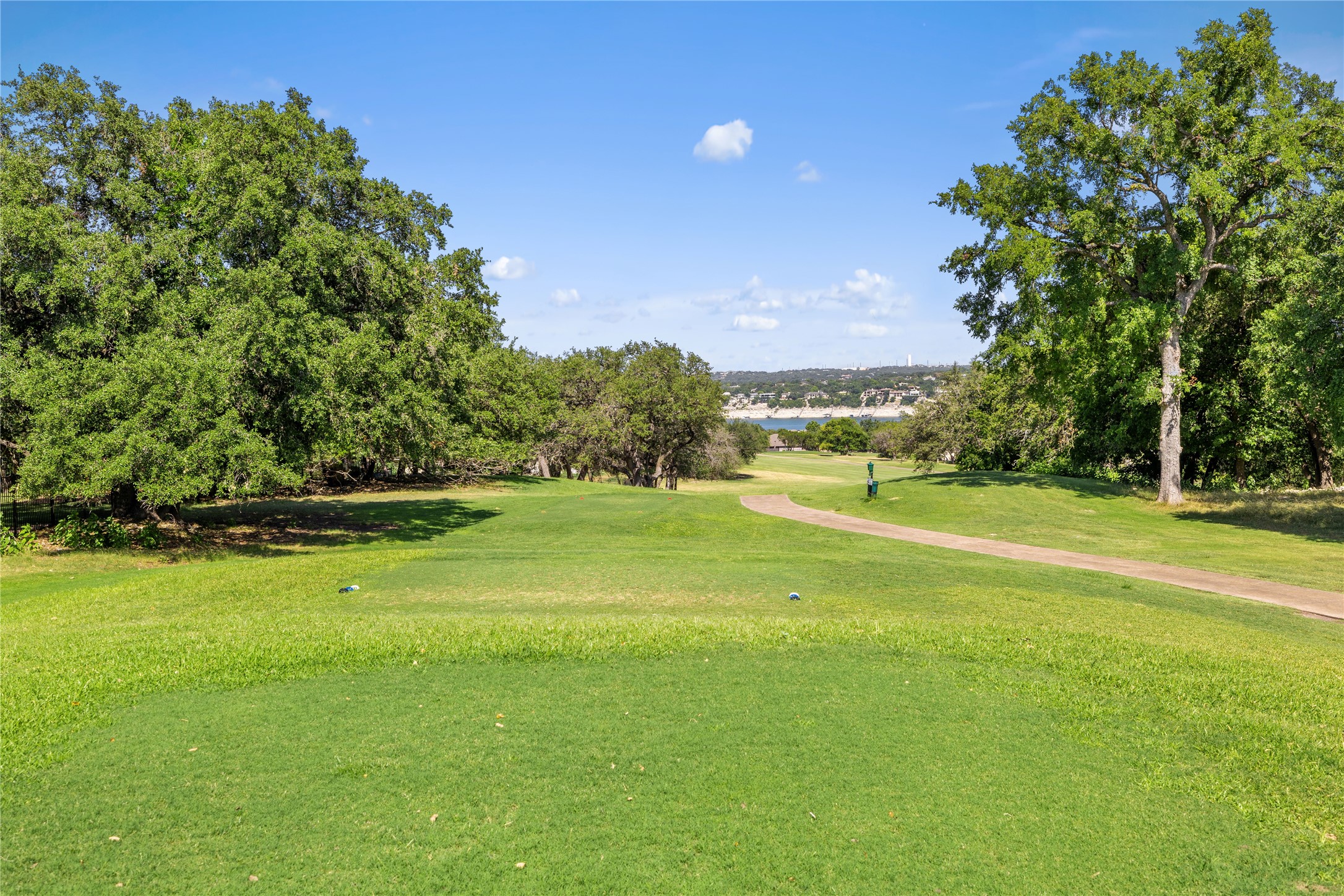 160 Lakefront Drive Point Venture, TX 78645 - Photo 8 of 17
