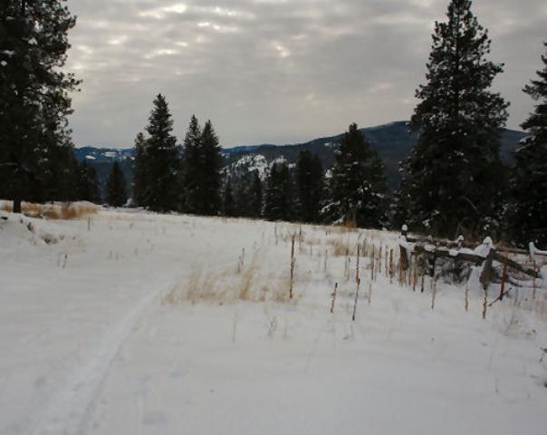 0 Cummins Road Curlew, WA 99118 - Photo 2 of 6 Gallery Image 2