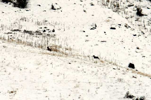 0 Cummins Road Curlew, WA 99118 - Photo 4 of 6 Gallery Image 4