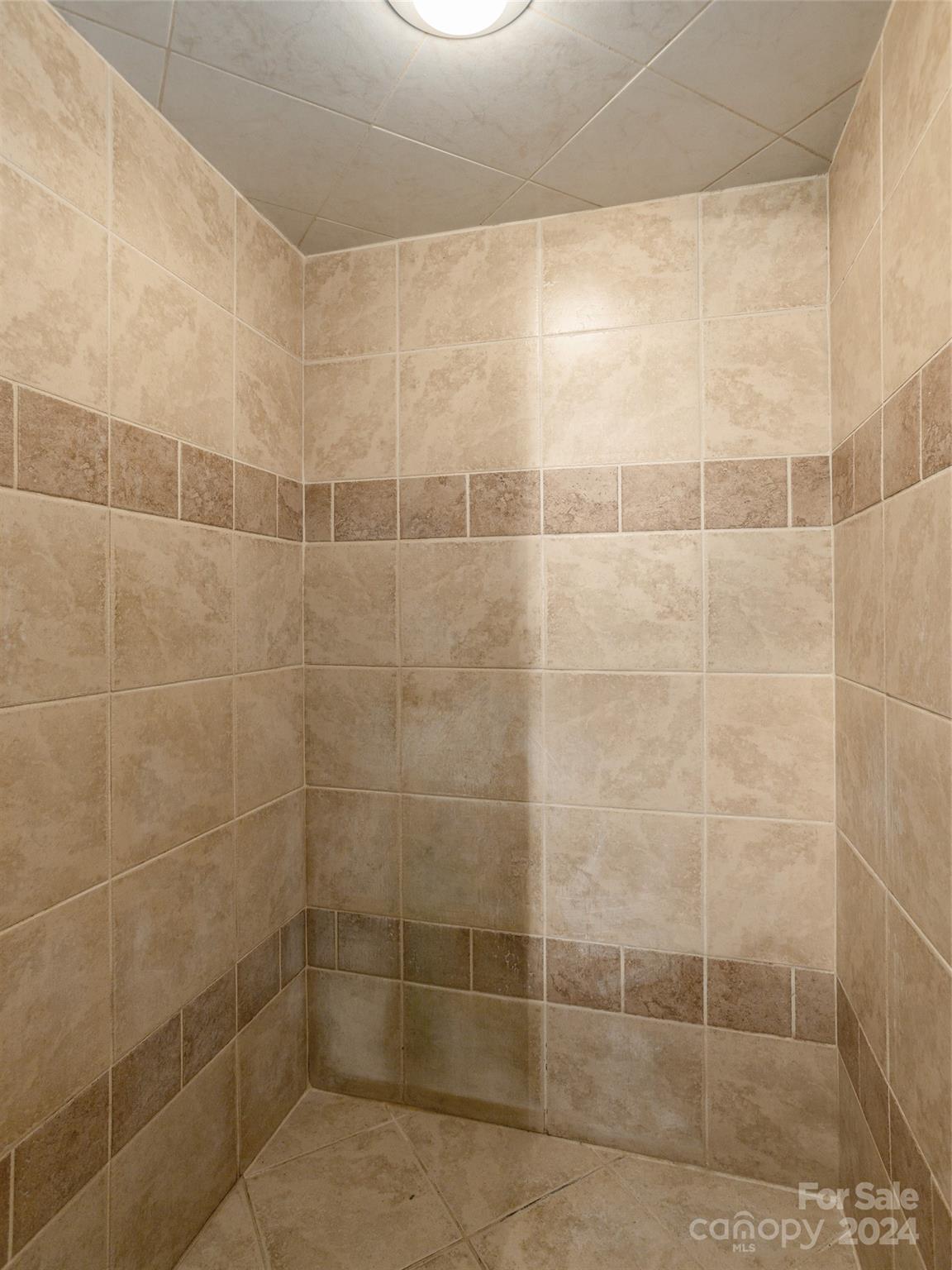 149 Cold Springs Road Hendersonville, NC 28792 - Photo 24 of 48