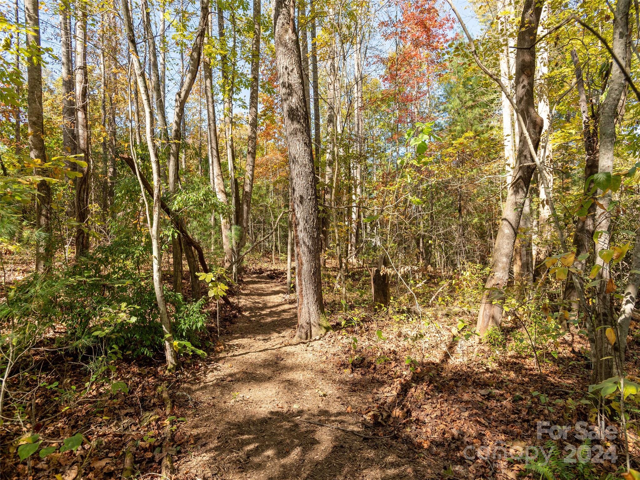 149 Cold Springs Road Hendersonville, NC 28792 - Photo 42 of 48