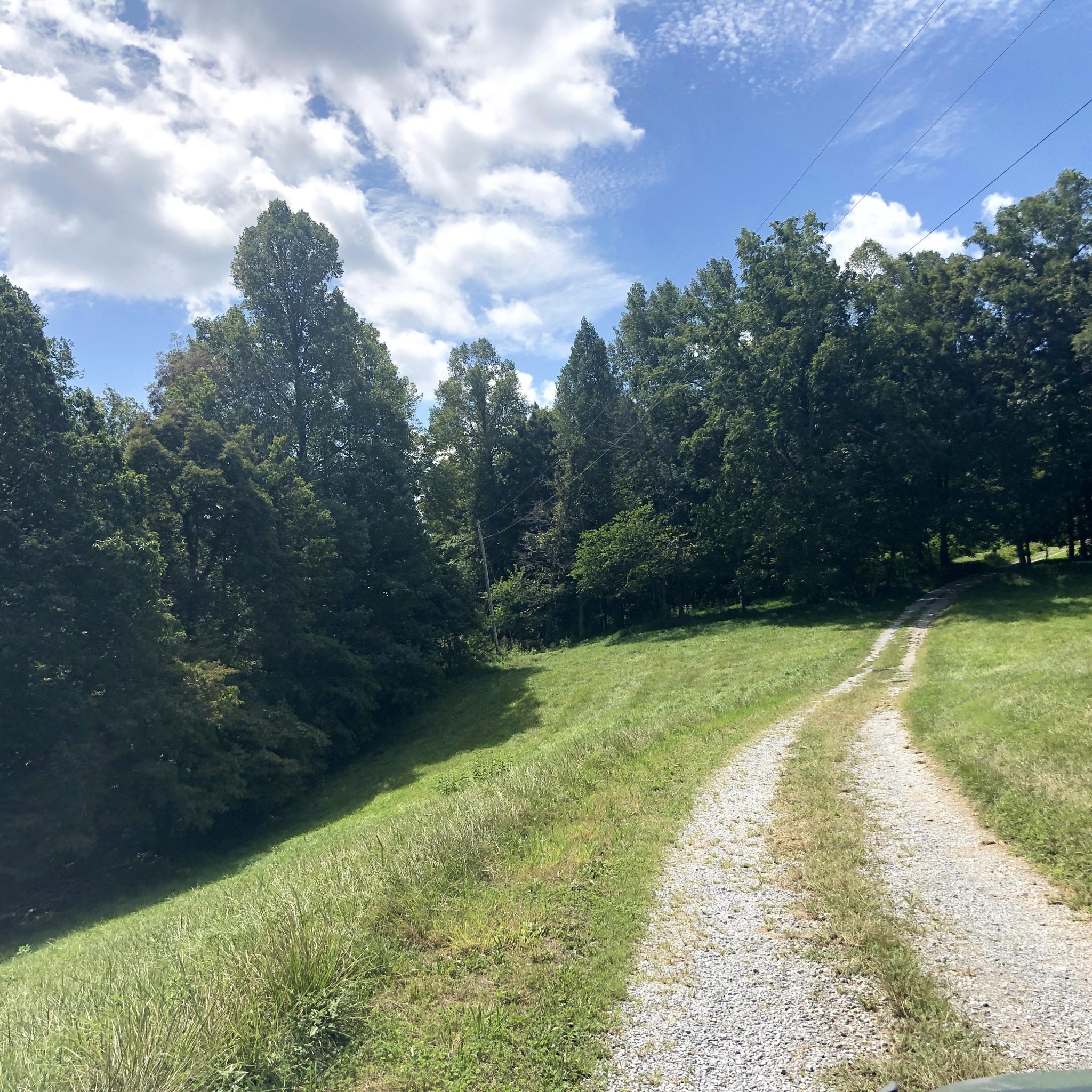 284 Castle Road Road Eidson, TN 37731 - Photo 8 of 40 Gallery Image 8