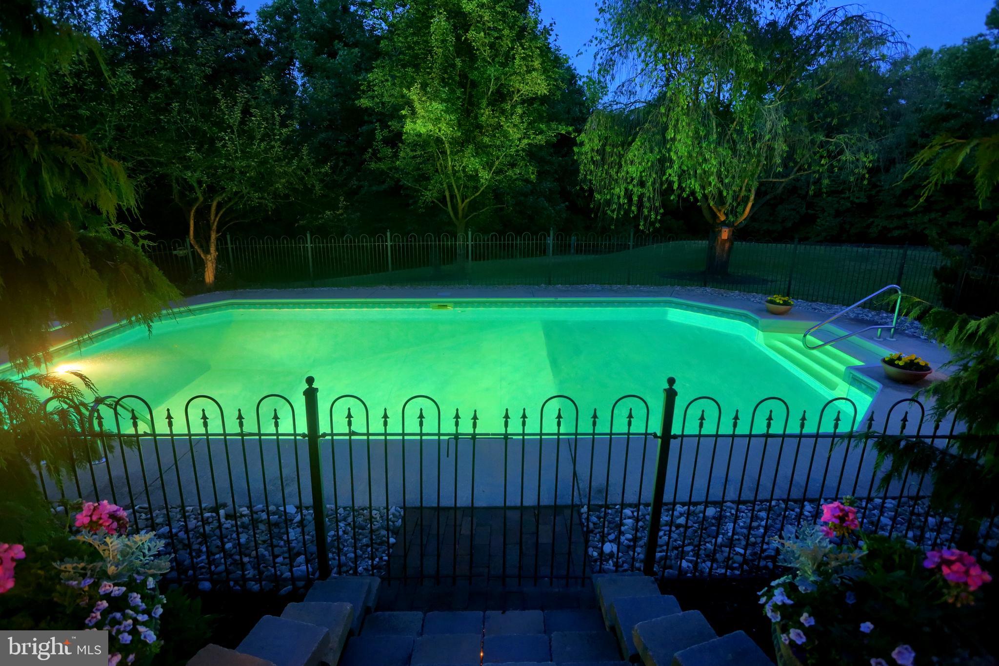 13 Dexter Drive Windsor, PA 17366 - Photo 38 of 48 Journey down the steps for moonlit swims