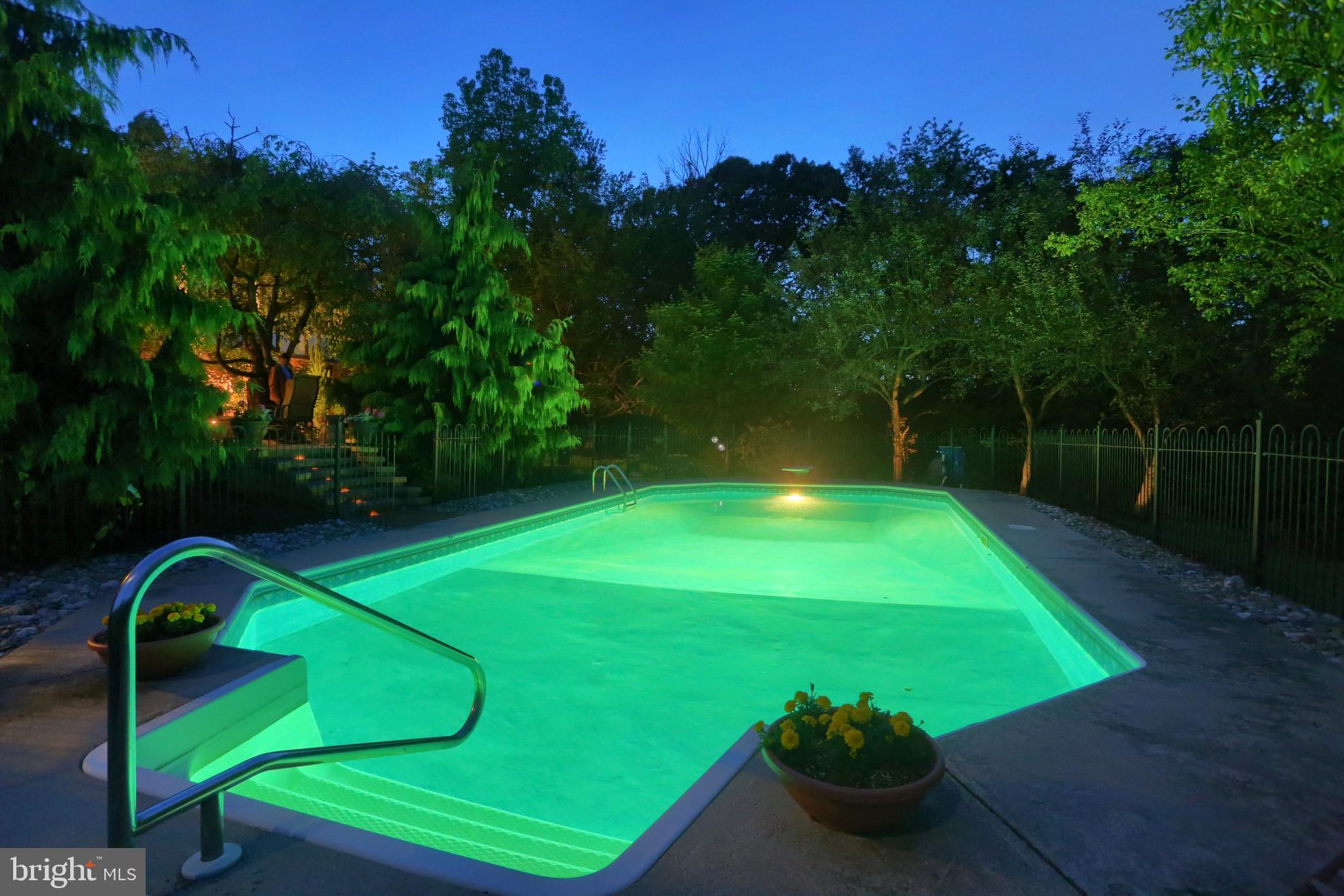 13 Dexter Drive Windsor, PA 17366 - Photo 39 of 48 Gentle lighting make late evening swims a must