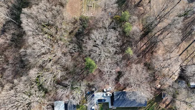 a view of a tree in a yard