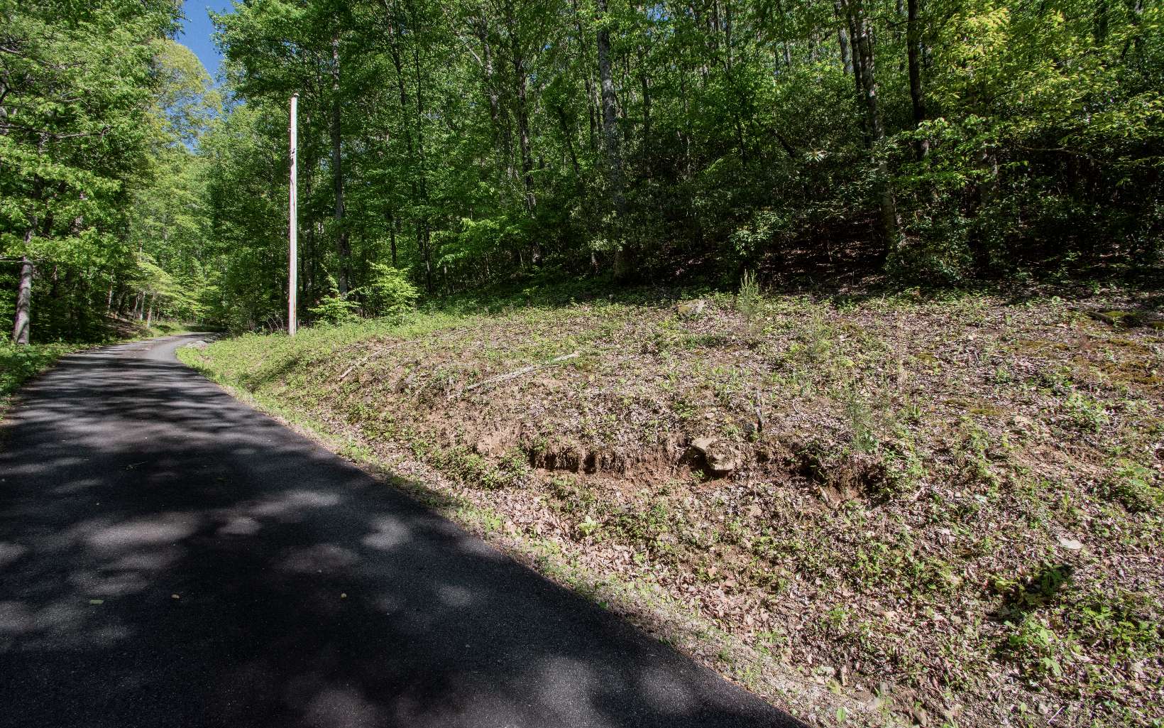 12 Trail Tree Road Murphy, NC 28906 - Photo 4 of 7 Additional View