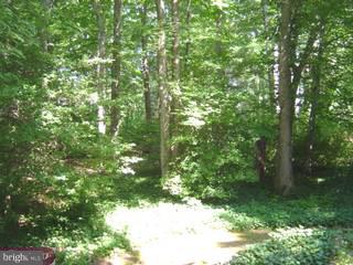 3317 Coachman Road Wilmington, DE 19803 - Photo 5 of 6 Gallery Image 5