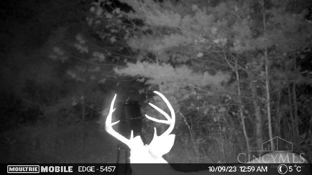 0 Spruce Hollow Road South Webster, OH 45682 - Photo 35 of 54