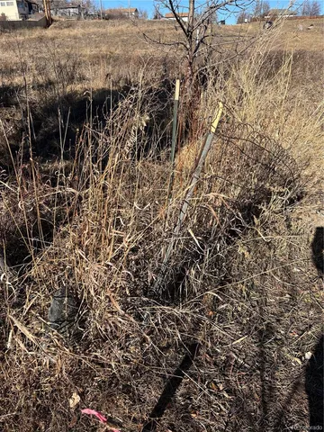a view of a dry yard
