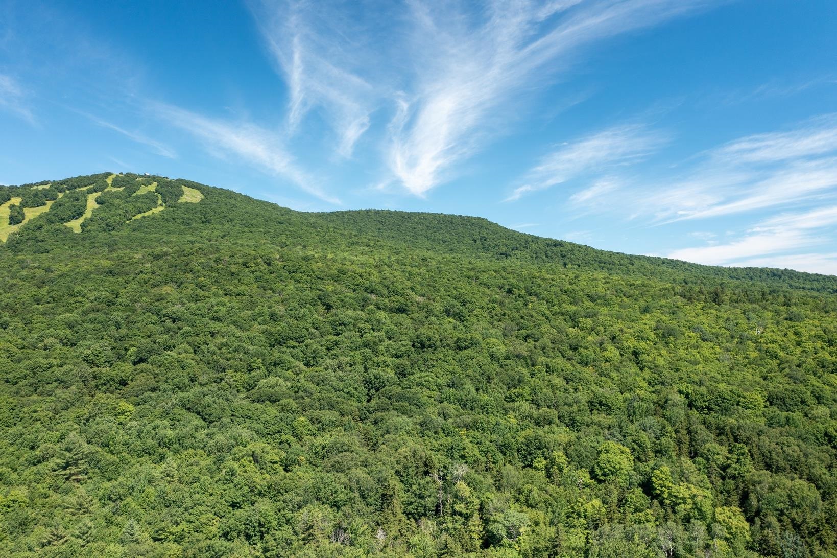 0 Vt Route 11 Peru, VT 05152 - Photo 19 of 20
