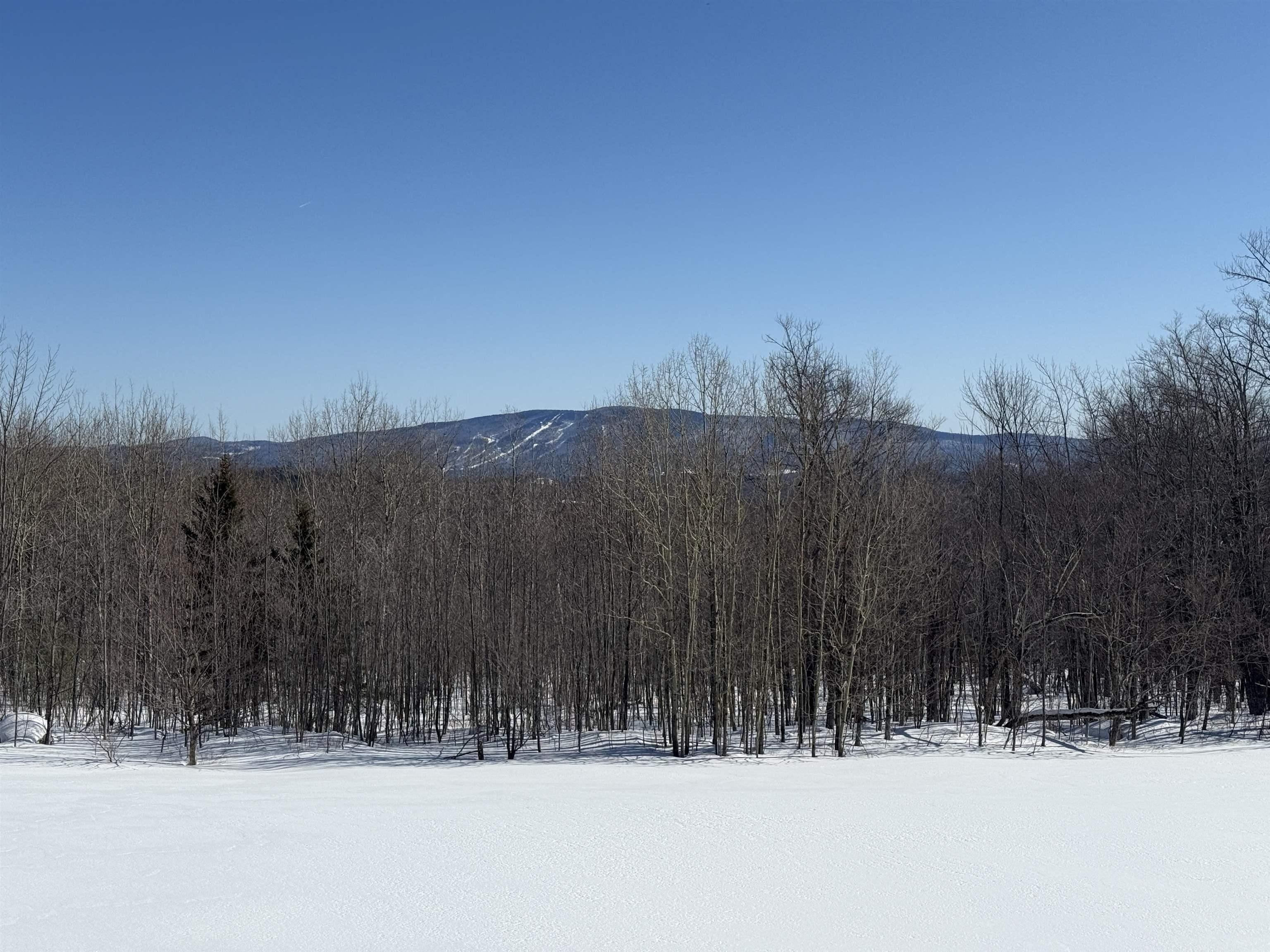 0 Vt Route 11 Peru, VT 05152 - Photo 7 of 20
