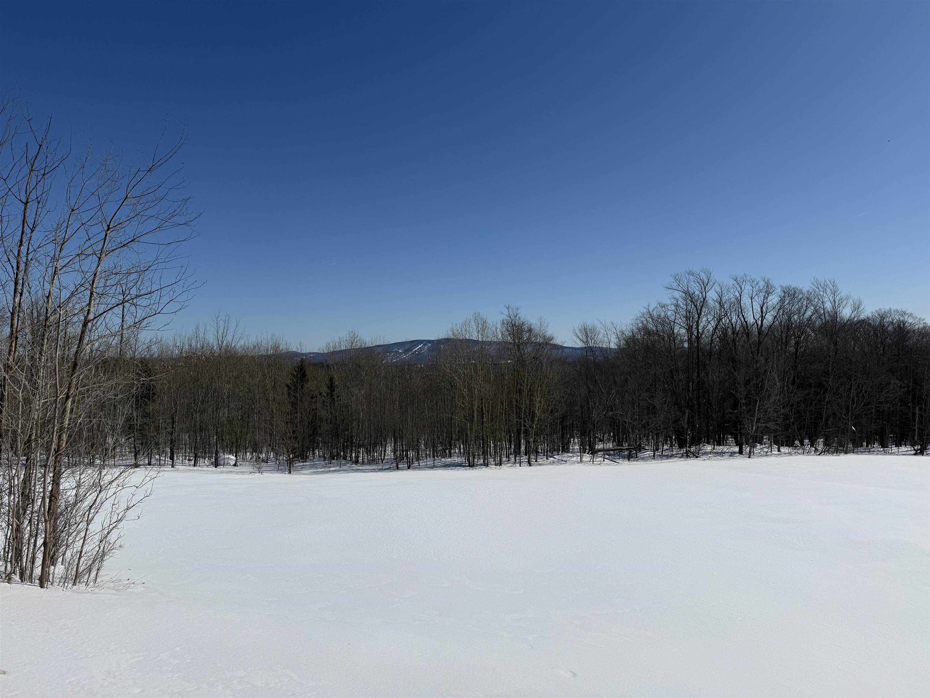 0 Vt Route 11 Peru, VT 05152 - Photo 8 of 20