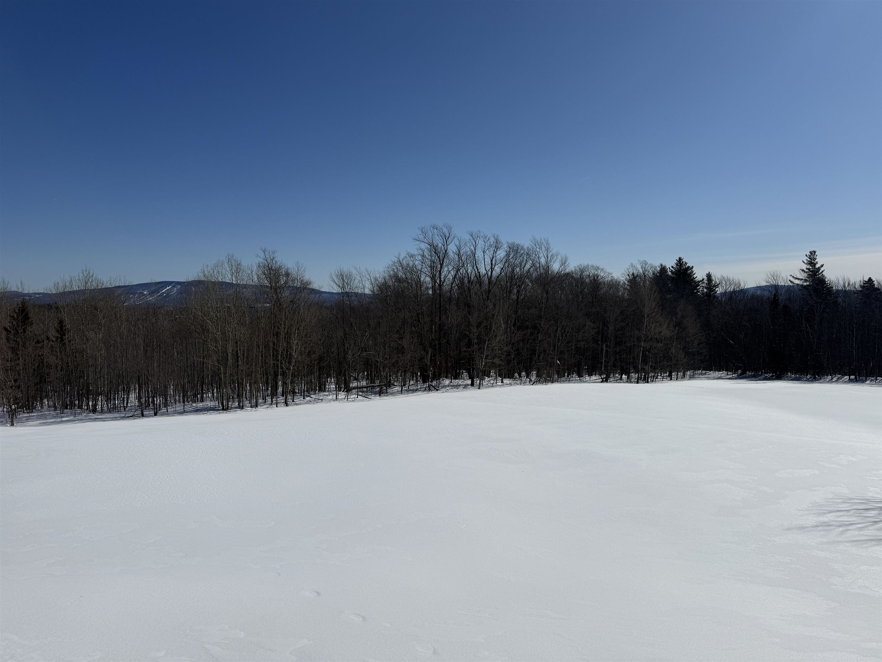 0 Vt Route 11 Peru, VT 05152 - Photo 9 of 20