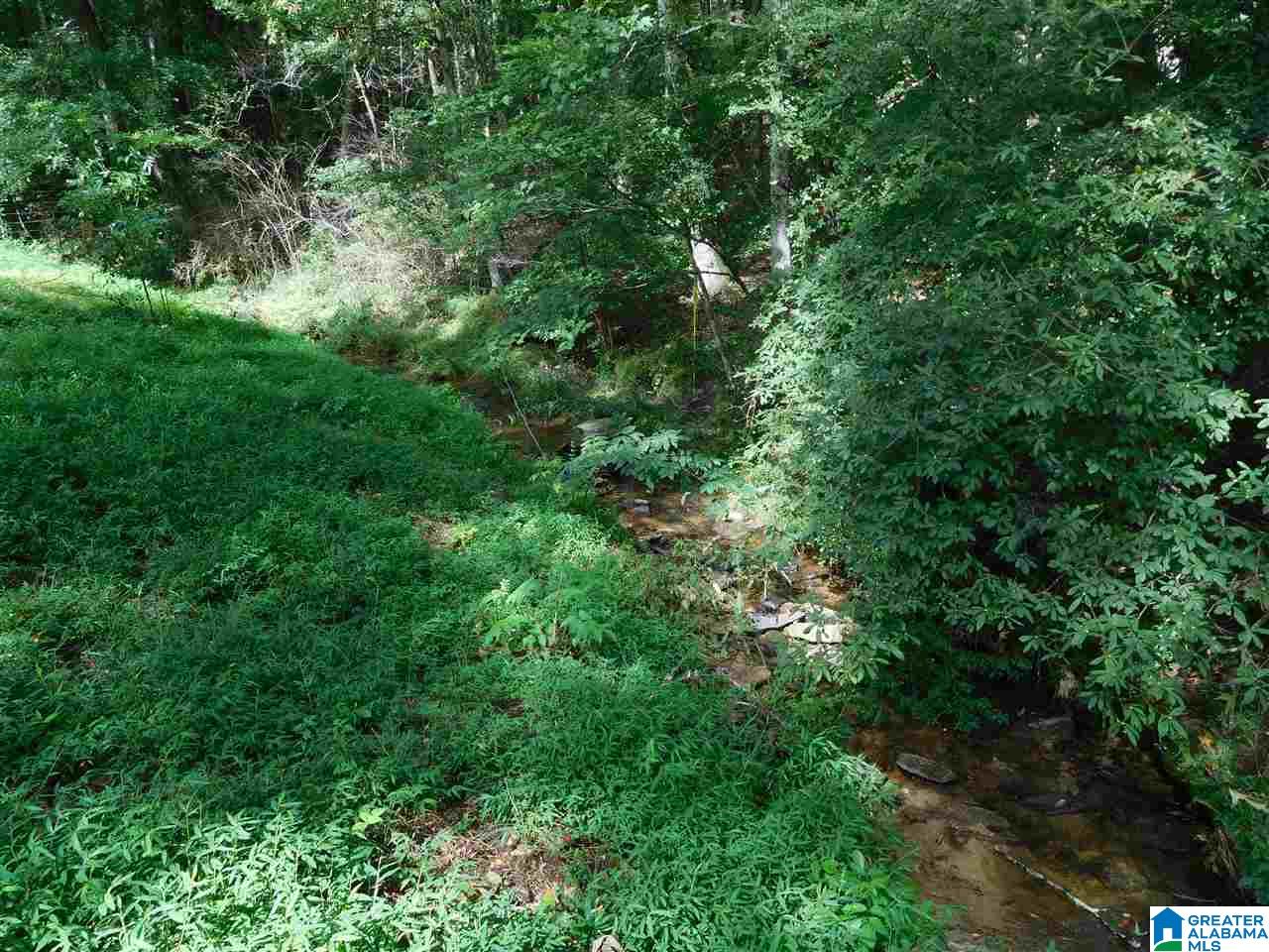 75 Killough Drive Springville, AL 35146 - Photo 33 of 37