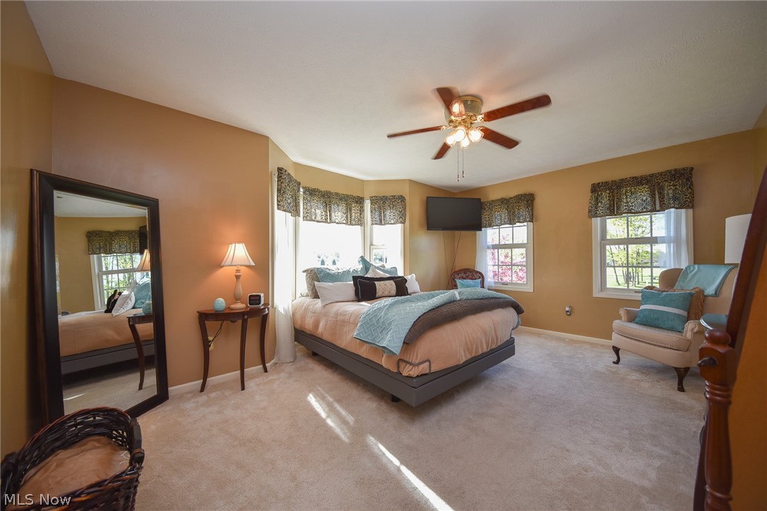 8615 Branch Road Litchfield, OH 44253 - Photo 19 of 31 Gallery Image 19