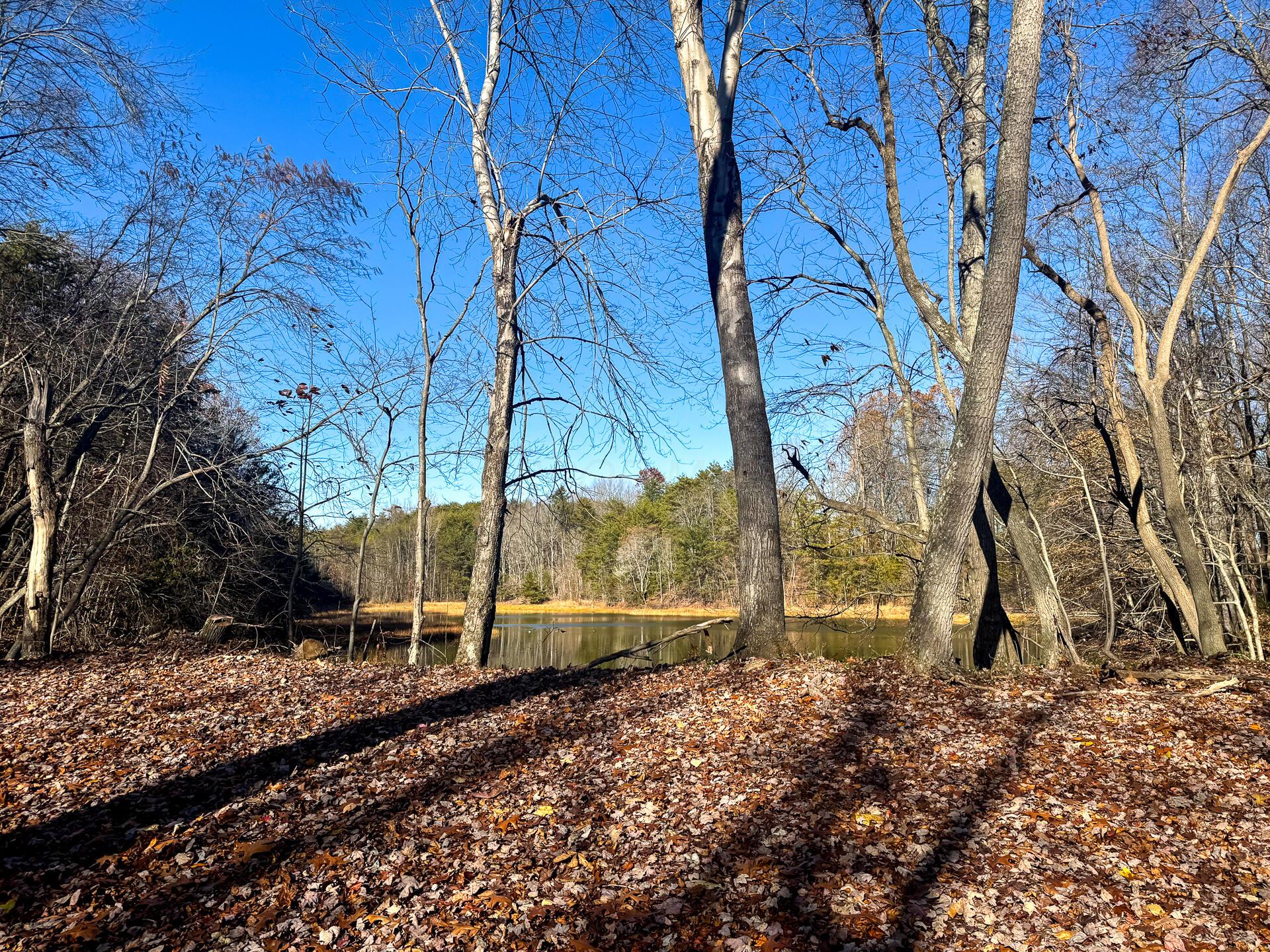 680 Nibert Road, Unit PONDS POPLAR RIDGE TRACT 10) Gallipolis, OH 45631 - Photo 30 of 46 CT-30