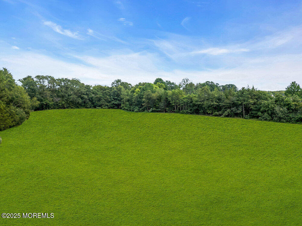 393 North County Line Road Jackson, NJ 08527 - Photo 6 of 21 a view of a green field with wooden fence