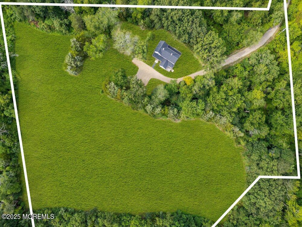 393 North County Line Road Jackson, NJ 08527 - Photo 7 of 21 a view of a yard with a lake