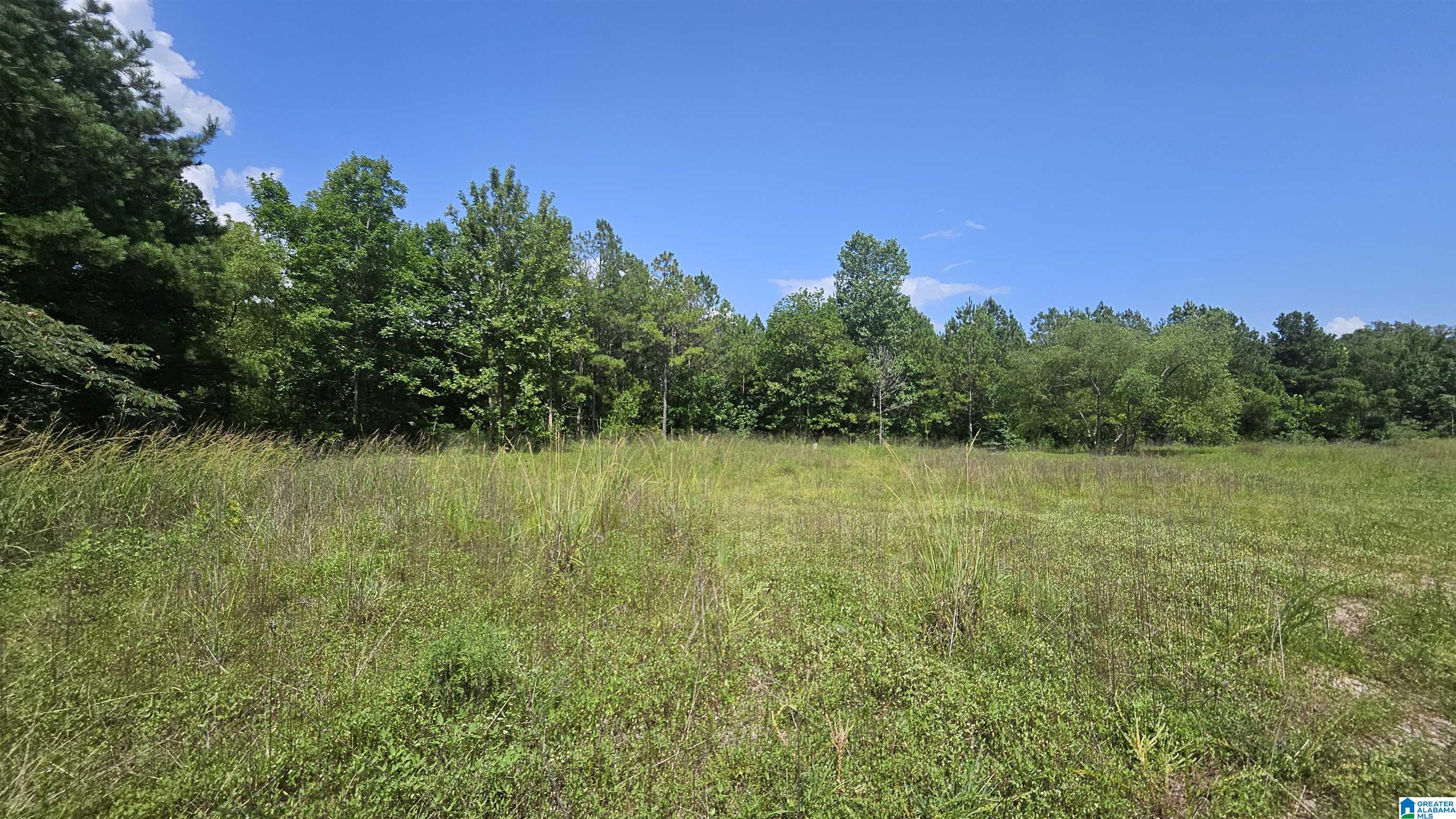 8183 Hopewell Road Bessemer, AL 35022 - Photo 5 of 7